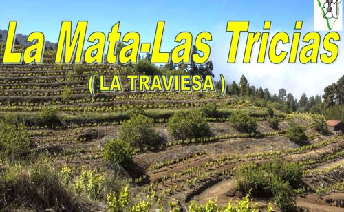 La Traviesa de La Mata a Las Tricias